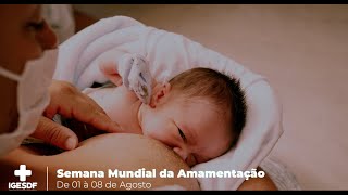 Semana Mundial da Amamentação [upl. by Strep242]