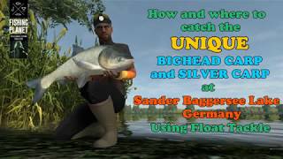 Fishing Planet  Unique Silver amp Bighead Carp Guide  Sander Baggersee Lake Germany [upl. by Maxma575]