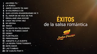 Éxitos De La Salsa Romántica  Salsa Power [upl. by Glory]