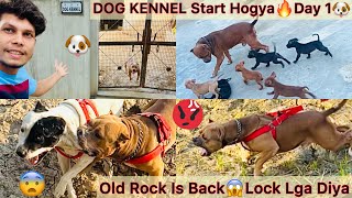 Sb Dogs Ko Kennel M Band Kardiya🐶Dog Kennel Start😍 Rock N Lock Lga Liya😨Pitbull Ko [upl. by Scurlock]