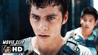 THE MAZE RUNNER Clip  quotThomas And Minho Survive The Mazequot 2014 [upl. by Ecnahoy642]