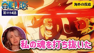 【ONE PIECE 1114話】ガープに魂を撃ち抜かれるケイティさん／海外の反応 [upl. by Ahsikit]