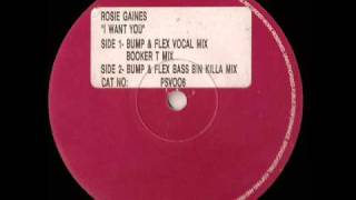 I Want You  Rosie Gaines  Bin Killa Mix [upl. by Musser908]