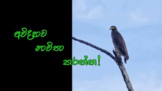 අවිද්‍යාව භාවිතා කරන්න [upl. by Assiluy]