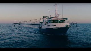 The life of an Australian Prawn Fisherman  “Welcome to the Gulf”  MB01FOQLS2NWL5Y [upl. by Akemad]