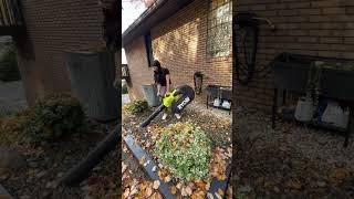 Ryobi for the win with leaf clean up 🙌🏼 leafcleanup leafcleaning fallleaves leaves ryobitools [upl. by Annam]