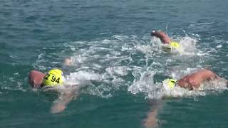 2017 Bosphorus CrossContinental Swim [upl. by Standush]