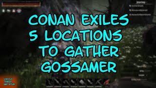 Conan Exiles 5 Locations to Gather Gossamer [upl. by Petronilla]