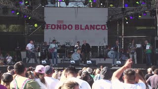 FONDO BLANCO SKA BAND  Manuel Santillán el León [upl. by Noel]