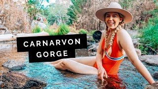 QUEENSLAND Travel Guide Carnarvon Gorge 🇦🇺 [upl. by Kerwin105]