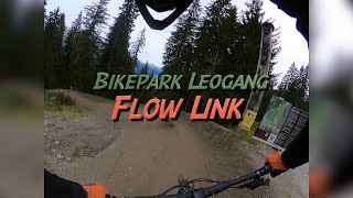 Bikepark Leogang  Flow Link [upl. by Ileak117]