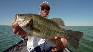 Bass Fishing sul lago TRASIMENO con il CAMPIONE del MONDO Luca Della Ciana [upl. by Asenav]