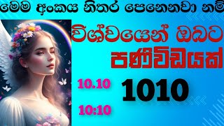 අංක 1010 නිතර ඔබට පෙනෙනවා නම් විශ්වයෙන් ඔබට සුභ පණිවිඩයක්Angel number 1010 sinhalalawofattraction🪽 [upl. by Asselim749]