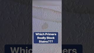 5 Best StainBlocking Primers For Your Walls amp Ceilings diytips hometips homeimprovement [upl. by Aihcela]