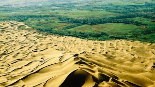 How China is Reforesting the Gobi Desert into Forest  The Great Green Wall [upl. by Oirazan765]