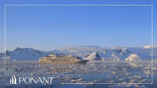 Nos croisières en Antarctique  PONANT [upl. by Atsirhcal]