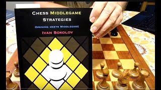 Chess Middlegame Strategy vol 2 the Opening meets the middlegame [upl. by Trumann423]