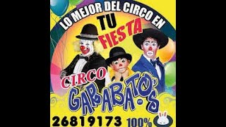 Funciones de circo Garabatos [upl. by Lamp]