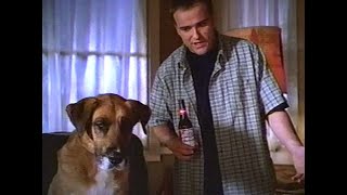 1998 talented dog Budweiser TV commercial [upl. by Einor]