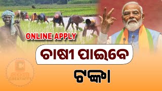 PM Kisan 19th Installment Update in Odia  Kisan Yojana New Apply Online [upl. by Ysied]