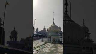 Live darshan Takhat Sri Damdama Sahib [upl. by Nivag]