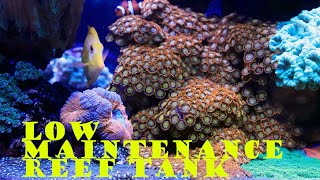 Low Maintenance 150 Gallon Mixed Reef Tank Update [upl. by Vareck]