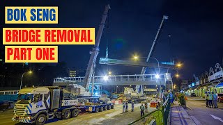 Bok Seng  2x Liebherr LTM150081 Tandem Bridge Removal  Part 1 [upl. by Annoyi]