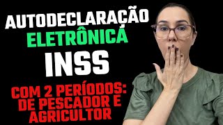 Como preencher a autodeclaração do agricultor com períodos de pescador e segurado especial [upl. by Weinman619]