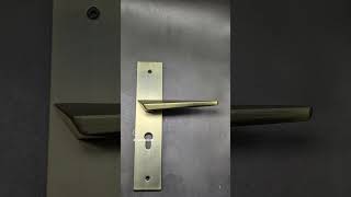 quotTop Stunning Door Handle Lock Designs You Must Seequot DoorLocks HomeDesign DesignTrends doors [upl. by Yerkovich964]