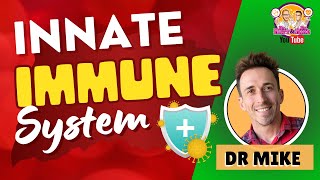 Innate Immunity  Immune System [upl. by Ahsercul]