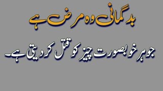 Islamic Motivational Urdu Quotes  Which four people fail in life  tsleemvoice [upl. by Virginia]