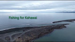 Fishing for kahawai in New Zealand  4K60 DJI Air 3S [upl. by Eicnarf344]