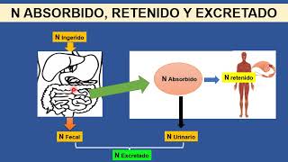 BROMATOLOGIA Calidad de Proteínas Alimentarias [upl. by Atwahs]