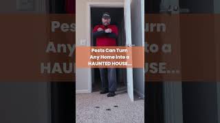 Pests Can Turn Any Home into a Haunted House [upl. by Sopher]