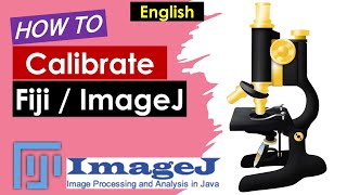 ImageJ Calibration  Fiji Calibration  How to calibrate ImageJ Fiji English [upl. by Amice546]