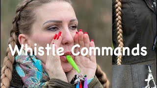 Dog whistle commands [upl. by Vernice615]