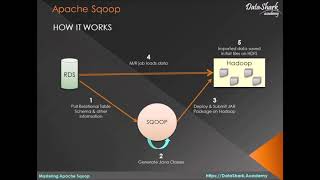 3 Complete Sqoop Training  How Sqoop Works [upl. by Suh]