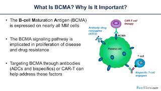 Betting on BCMA Therapy in Multiple Myeloma [upl. by Jegar]