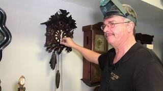 How to Antique Cuckoo Clocks [upl. by Assile661]