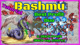 Best PROFIT Duo  Bashmu 2kkh profit 3kkh exp 100 Tibia 2021 [upl. by Bannasch]