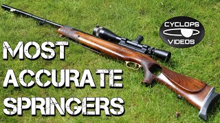 Most Accurate Airguns  Springer Air Rifles [upl. by Enellek668]