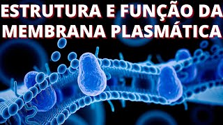 Estrutura e função da membrana plasmática [upl. by Nalepka]