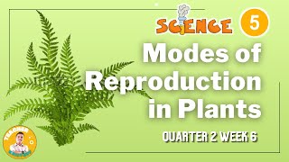 SCIENCE 5 Q2 WEEK 6  MODES OF REPRODUCTION IN PLANTS [upl. by Onfre]