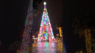 Fuengirola Christmas  Los Boliches  December 2024  Malaga  Spain  4k [upl. by Jecon]