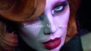 Sam Quealy  Not A Dream visualizer [upl. by Montanez269]