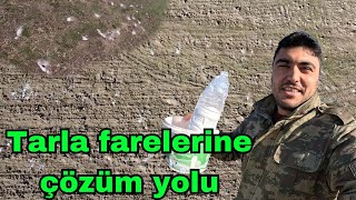 TARLA FARELERİNE ÇÖZÜM YOLU BULDUK [upl. by Idell996]