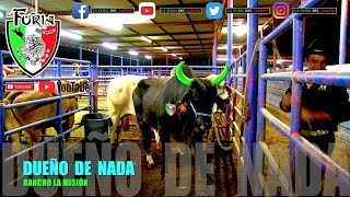 RETO RETO GALLITO DE MORELIA VS DUEÑO DE NADA EN LA PICO RIVERA CALIFORNIA [upl. by Roht]