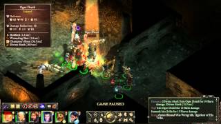 Pillars of Eternity  Zolla the ogre chieftain endless path lvl 3 [upl. by Nevah]