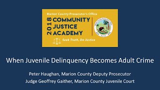 2018 Community Justice Academy  Juvenile Crime [upl. by Jessika]