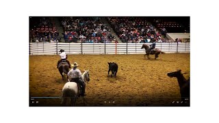 The American quarter horse congress with equestrian riders bull riding calf roping etc [upl. by Eulaliah]